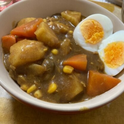 お肉のカレーより美味しく感じました★